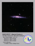 NGC4631